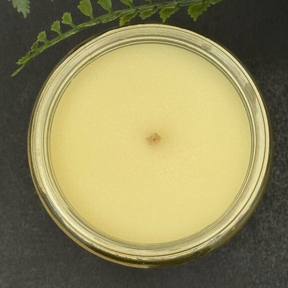 BBW Sugared Lemon Zest White Barn Bath & Body Works Mason Jar Single Wick Candle - Picture 7 of 10